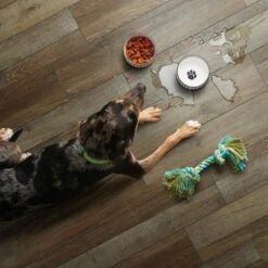 SMARTCORE Pro 7-Piece 7.08-in X 48.03-in Claremount Oak Luxury Vinyl Plank Flooring -SMARTCORE Sales Store 190402110268 12035968 1800x1800