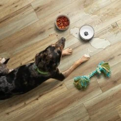 SMARTCORE Pro 7-Piece 7.08-in X 48.03-in Burbank Oak Luxury Vinyl Plank Flooring -SMARTCORE Sales Store 190402110275 09506001 1800x1800